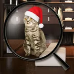 Hidden Object - New Year icon