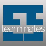 Excelsior Staffing Teammates icon