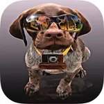 Dogs Quiz - Guess The Hidden Object that What’s Breeds of Dog? icon