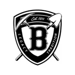 Bauxite Public Schools, AR icon