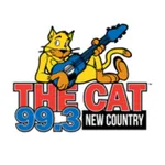 99.3 The Cat (WWKT FM) icon
