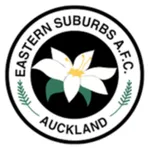 ESAFC icon