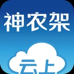 云上神农架 icon