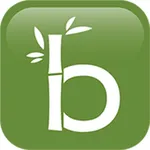 BambooCloud icon