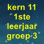 Kern11-VLL icon