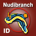 Nudibranch ID IndianOcn RedSea icon