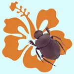 Hawaiian Scarab ID icon