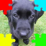 Puppies (Baby Dogs) Jigsaw Puzzles icon