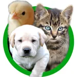 Baby Animal Sounds for Kids and Toddlers icon