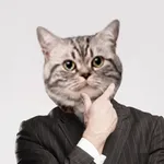 Cat face stickers filters icon