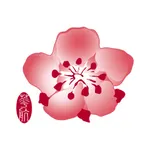 China Airlines App icon