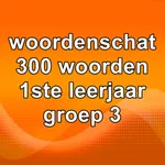 Woordenschat1 icon