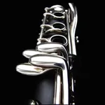 Clarinet Player icon