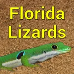 Florida Lizards icon