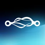 SPARK car sharing icon