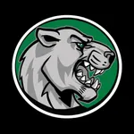 CosmoLink icon