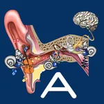 Hearing Anatomy icon