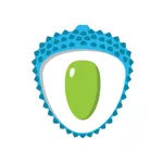 ליצ י lychee icon