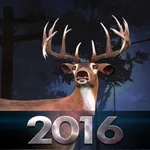 Bow Hunter 2016 icon