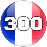 Learn Top 300 French Words icon