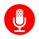 Voice recorder, audio recorder icon