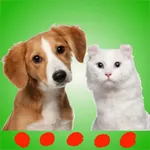 Cat & dog sounds: Perfect app for pets and puppies icon