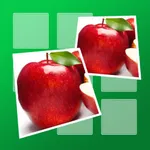 Memo Kid - Matching tile puzzle for children with dog, cat, pig and other home pets icon