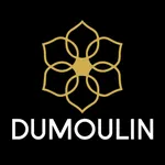 Dumoulin Travel Guides icon