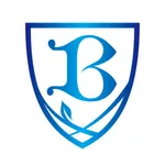 B-THREE BLD. icon