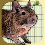 Donny Degu icon