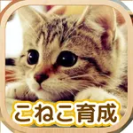 Cat Healing Life icon