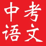 中考语文复习大全-基础知识|阅读|作文|模拟 icon