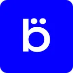 Blueriiot - Blue Connect icon