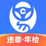 车行易查违章-全国交通违法处理 icon