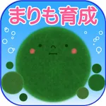 Marimo - Together everywhere icon