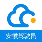 公务用车易驾驶员 icon