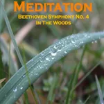 Meditation - Beethoven 4 Woods icon