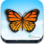 Indian Butterflies icon