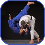 Judo in brief icon