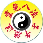 Chrono-Acupuncture Lite icon