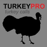 REAL Turkey Calls for Turkey Callin BLUETOOTH COMPATIBLE icon