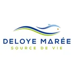 Deloye Marée icon