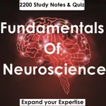 Fundamentals Of Neuroscience icon