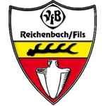 VfB Reichenbach icon