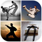 Martial Arts Wallpaper icon