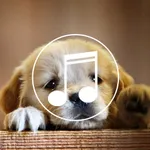 Puppy Sounds:Calming Music For Relaxation & Sleep icon