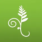 Koru Mindfulness icon