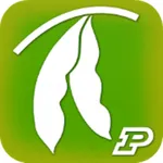 Purdue Extension Soybean Field Scout icon