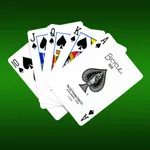 Spider.so - Classic spider solitaire game icon