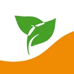 Gestión a la Vista 6.0 icon